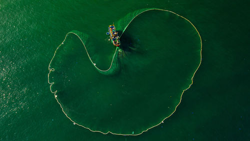 High angle view of snake