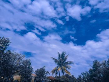 Low angle view of silhouette palm trees against blue sky