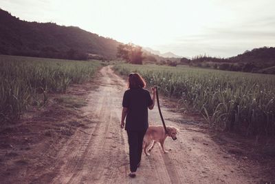 Rear view of woman walking with dog on field against sky