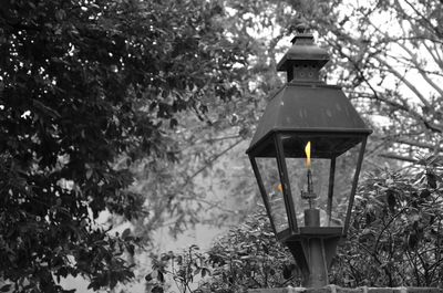 Lantern against lanterns