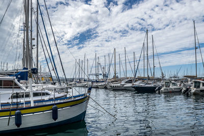 Sailboats moored in harbor
