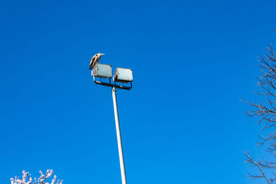 Low angle view of street light against clear blue sky