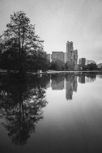reflection