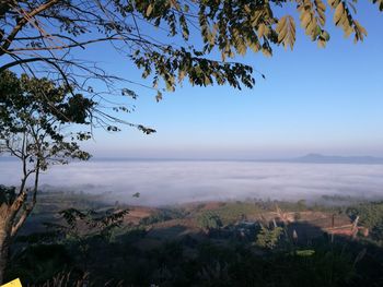 Scenic view of landscape against clear blue sky