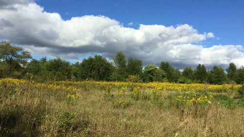 Scenic view of field against cloudy sky