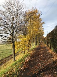 Road amidst trees against sky during autumn