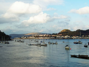 Sailboats moored in harbor