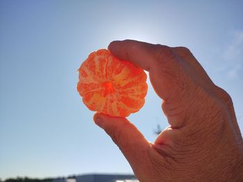 Cropped image of hand holding orange against sky