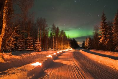 Road amidst trees during winter at night