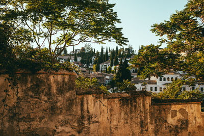 Trees and buildings against clear sky