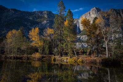 Scenic view of lake in forest