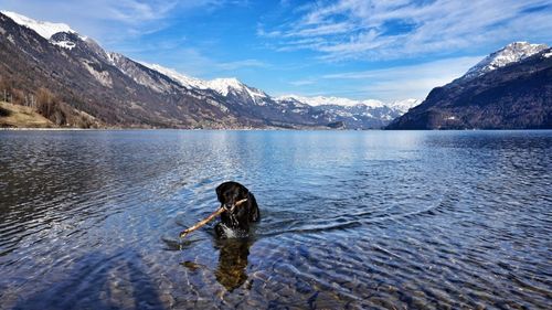 Full length of man feeding in lake against sky