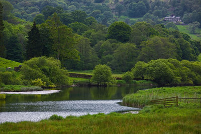 Small river at the british lake district