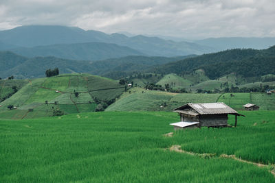 Scenic view of agricultural field and mountains against sky