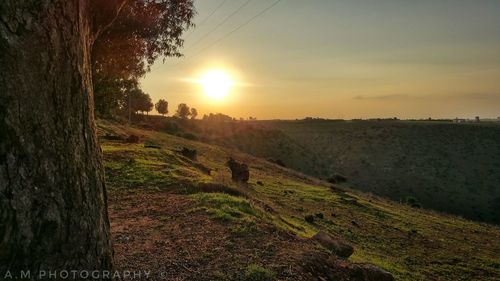 Scenic view of field against sky during sunset