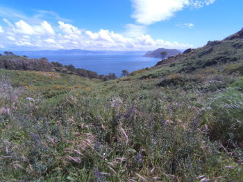 Scenic view of sea against sky