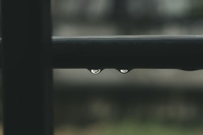 Close-up of water drops on railing