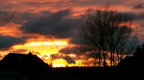 Silhouette of trees against dramatic sky