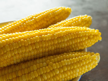 Close-up of corn