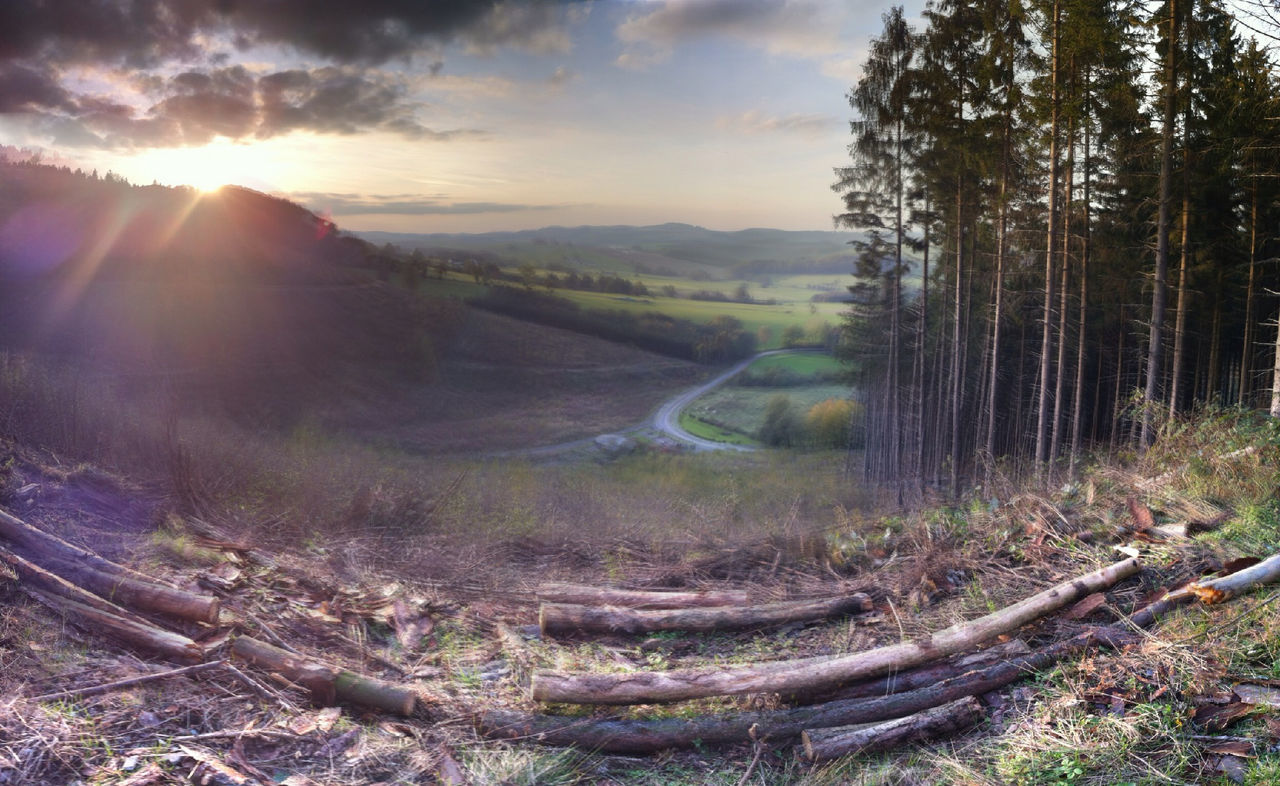 tranquil scene, tranquility, landscape, sky, scenics, nature, sunbeam, sun, tree, beauty in nature, cloud - sky, sunlight, non-urban scene, mountain, lens flare, sunset, forest, outdoors, field, rock - object