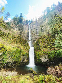 Scenic view of waterfall in forest