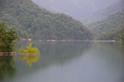 Scenic view of lake by trees against mountain