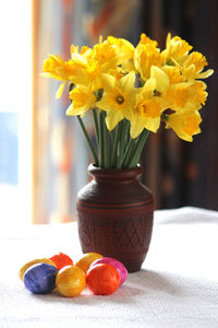 Close-up of flowers in vase