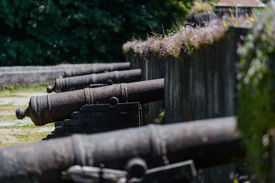 Close-up of pipe against trees