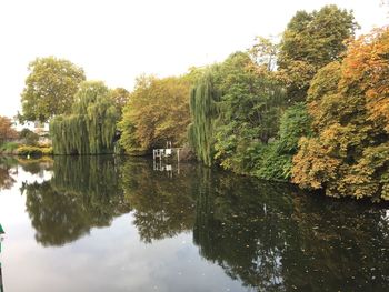 Reflection of trees in water