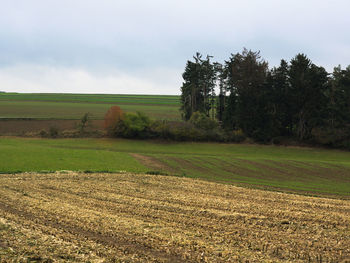 Scenic view of field against cloudy sky