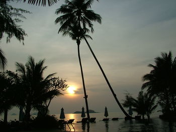 Silhouette coconut palm trees by swimming pool against sky