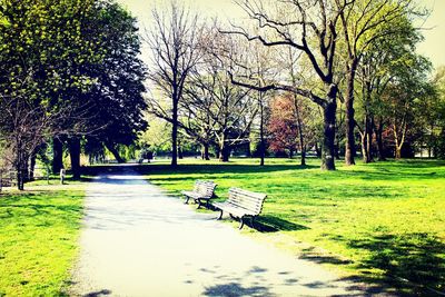 Empty road in park