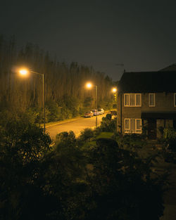 Illuminated street light against sky at night