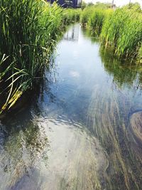 Scenic view of river