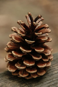 Close-up of wood on table