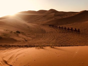 Sand dunes in desert against sky