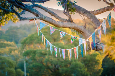 Low angle view of colorful bunting hanging on tree during sunset