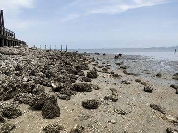 Scenic view of beach against sky