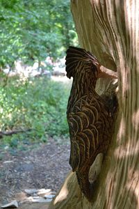 Close-up of bird on tree trunk