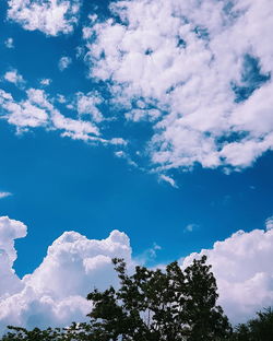 Low angle view of trees against blue sky