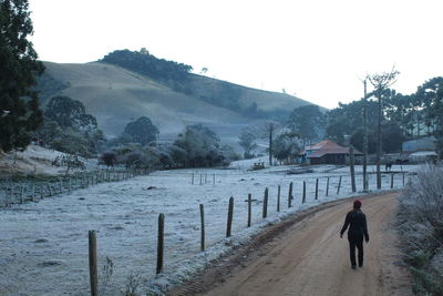 Rear view of people walking on street