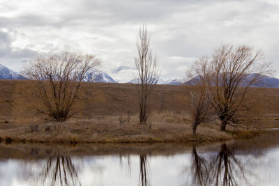 Reflection of bare trees in lake against sky