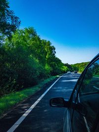 Road amidst trees against clear blue sky