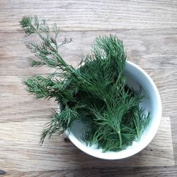 High angle view of potted plant on table