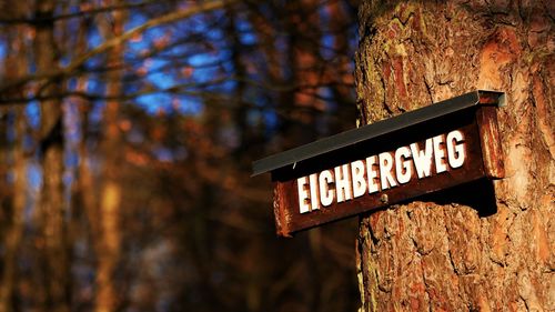 Low angle view of information sign on tree