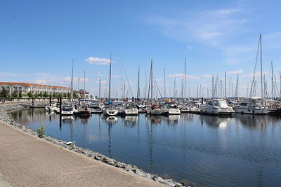 Sailboats moored at harbor