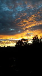 Silhouette of trees at sunset