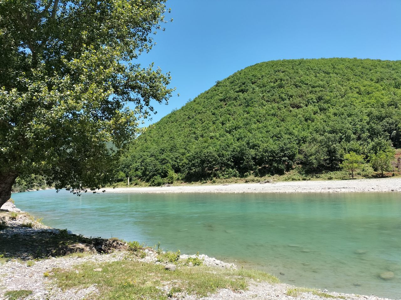 tree, water, plant, beauty in nature, nature, land, scenics - nature, body of water, tranquility, sky, sea, tranquil scene, no people, green, beach, day, shore, environment, blue, non-urban scene, clear sky, sunlight, outdoors, growth, idyllic, coast, forest, mountain, travel destinations, landscape, sunny, travel, tourism, bay, reservoir