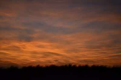 Silhouette trees against sky during sunset