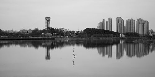 A heron perching on the reflection lake